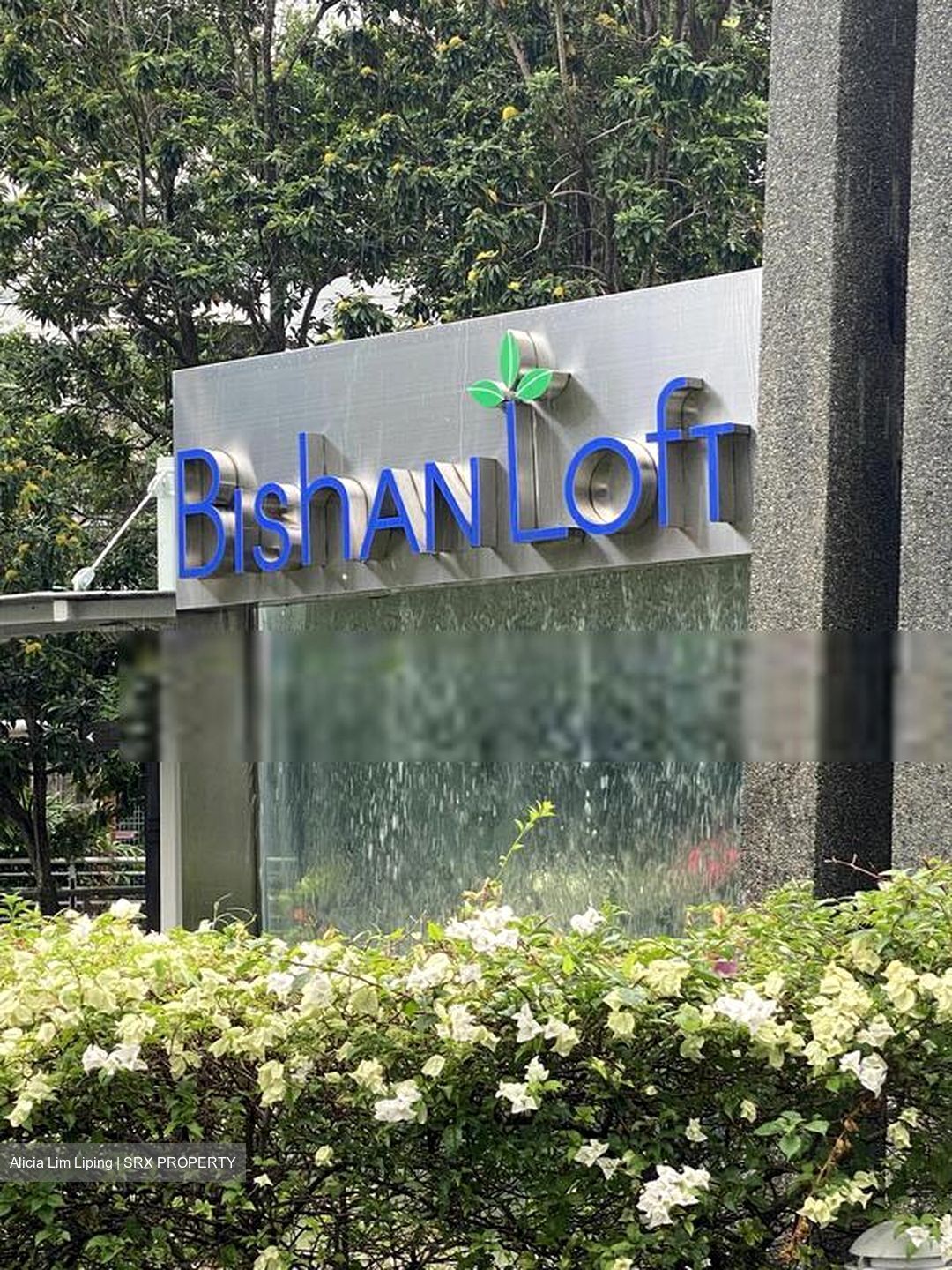 Bishan Loft (D20), Condominium #612057521